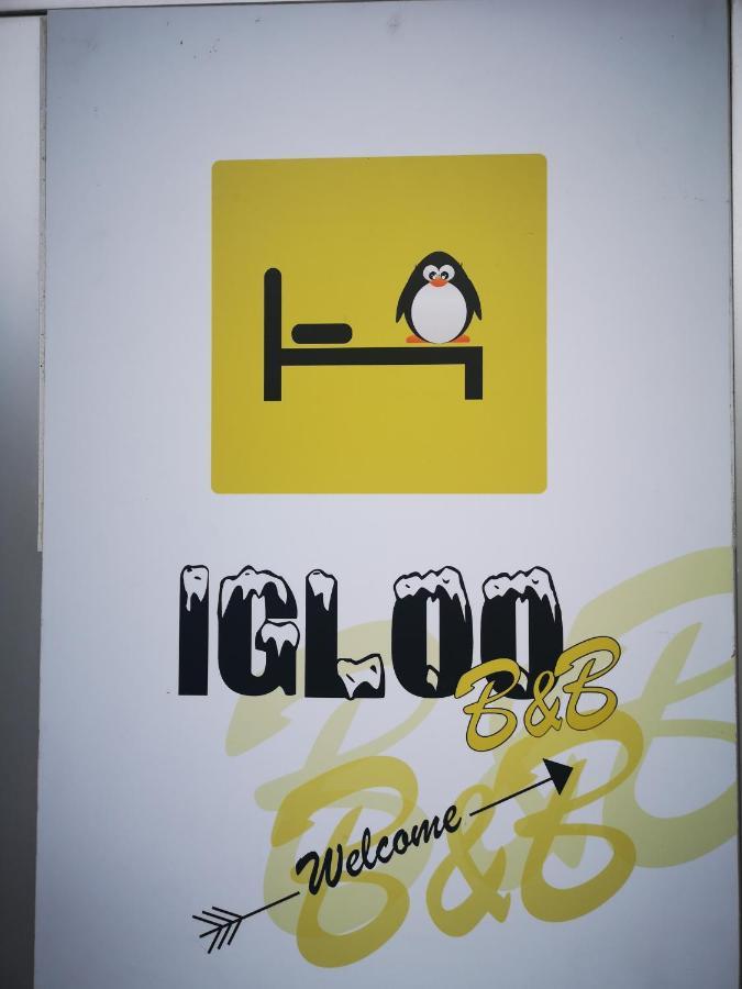 L'Igloo B&B Sedico Buitenkant foto